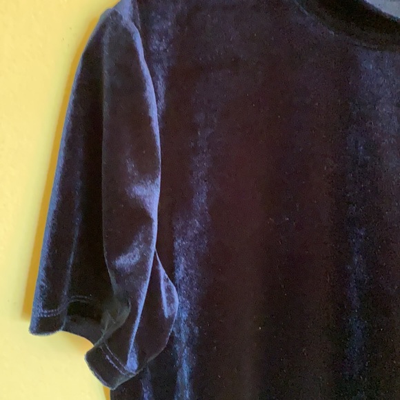 Zara Blue Velvet Mock Neck Top - Picture 3 of 4